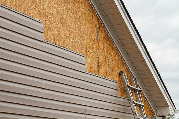 Professional Vinyl Siding technician working in Erwin, TN